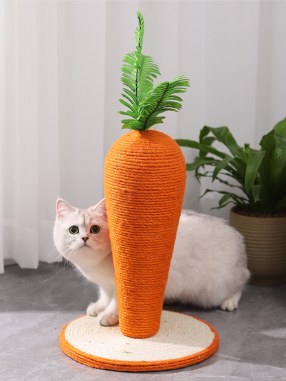 carrot nail sharpener 