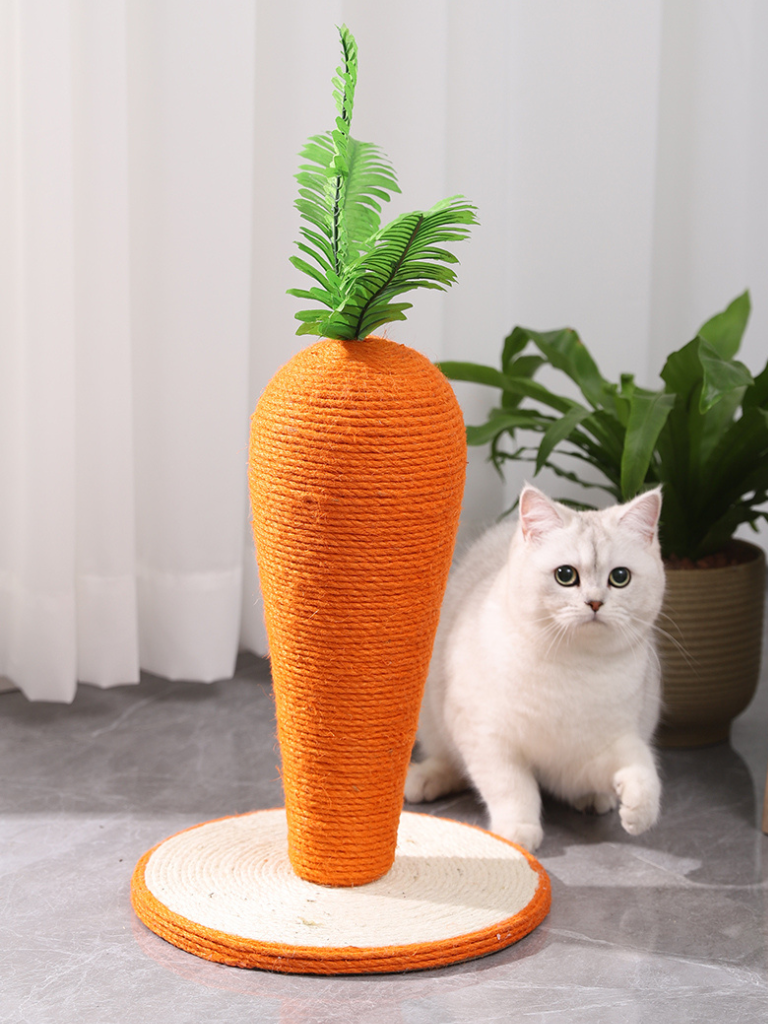 carrot nail sharpener 