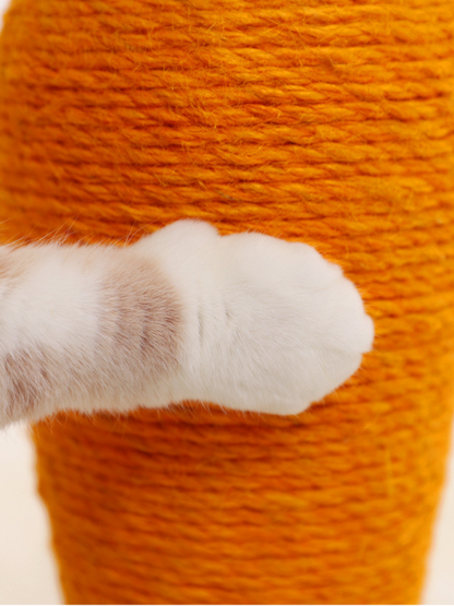 carrot nail sharpener 