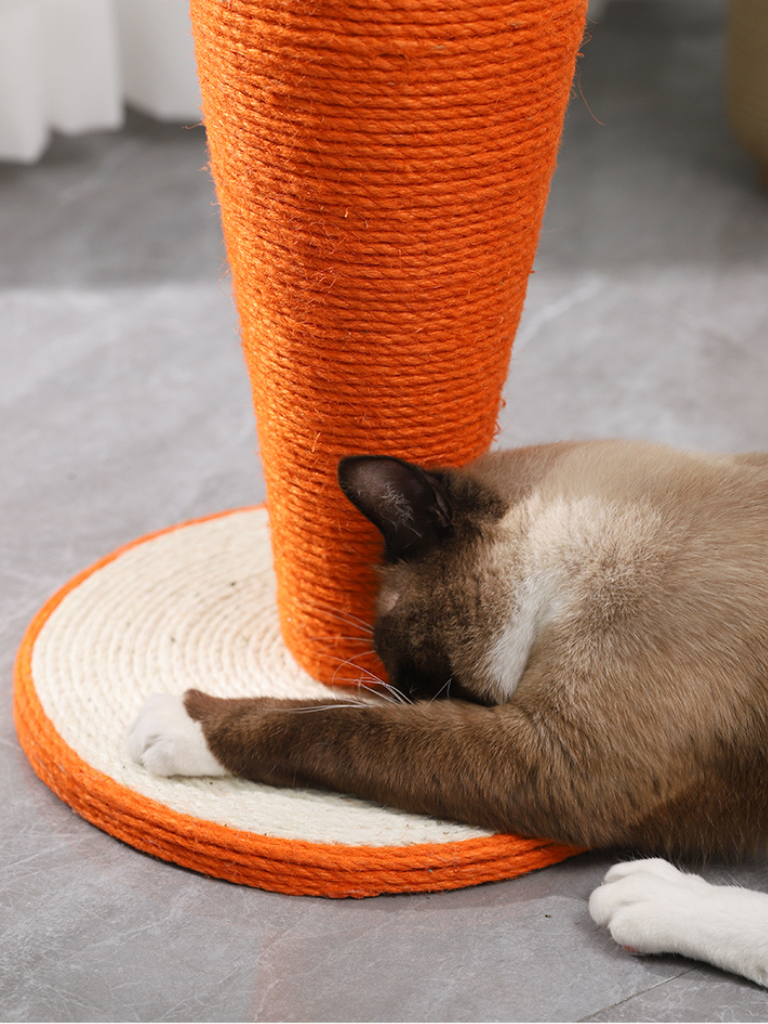 carrot nail sharpener 