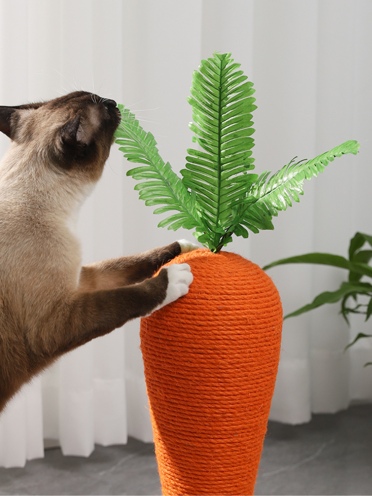 carrot nail sharpener 