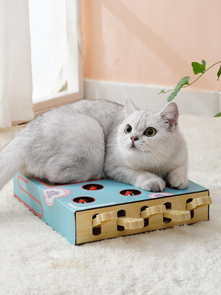 Pop-up hamster cat toy with claw 