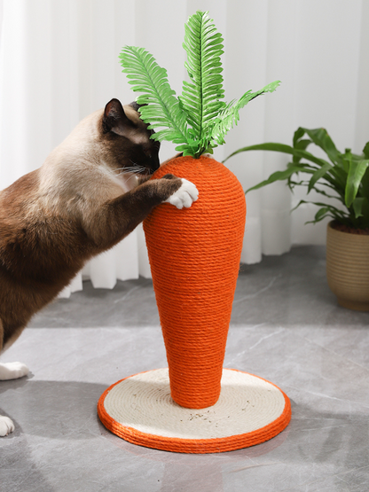 carrot nail sharpener 