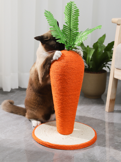 carrot nail sharpener 