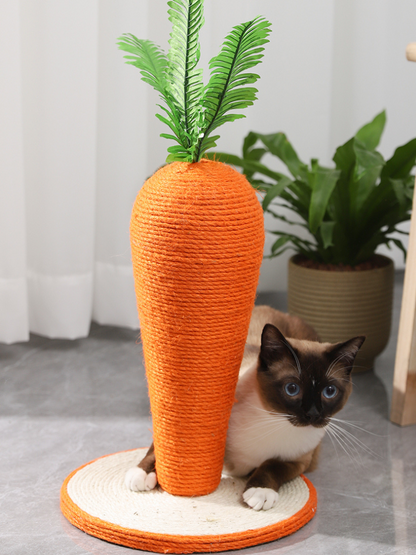 carrot nail sharpener 