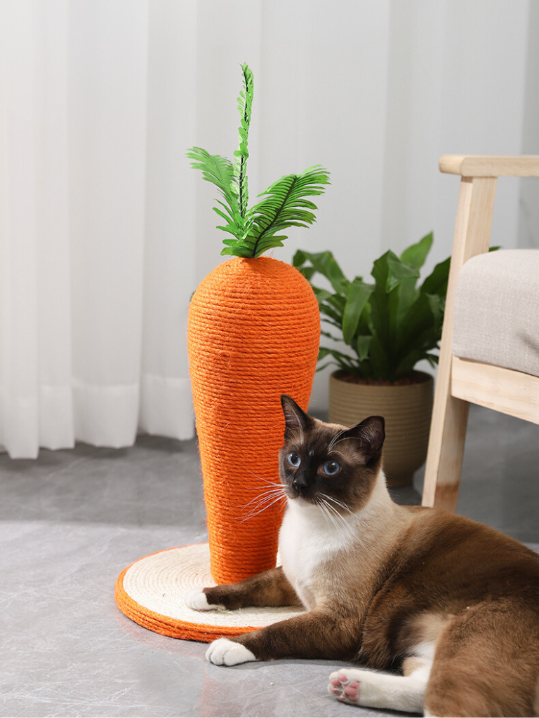 carrot nail sharpener 