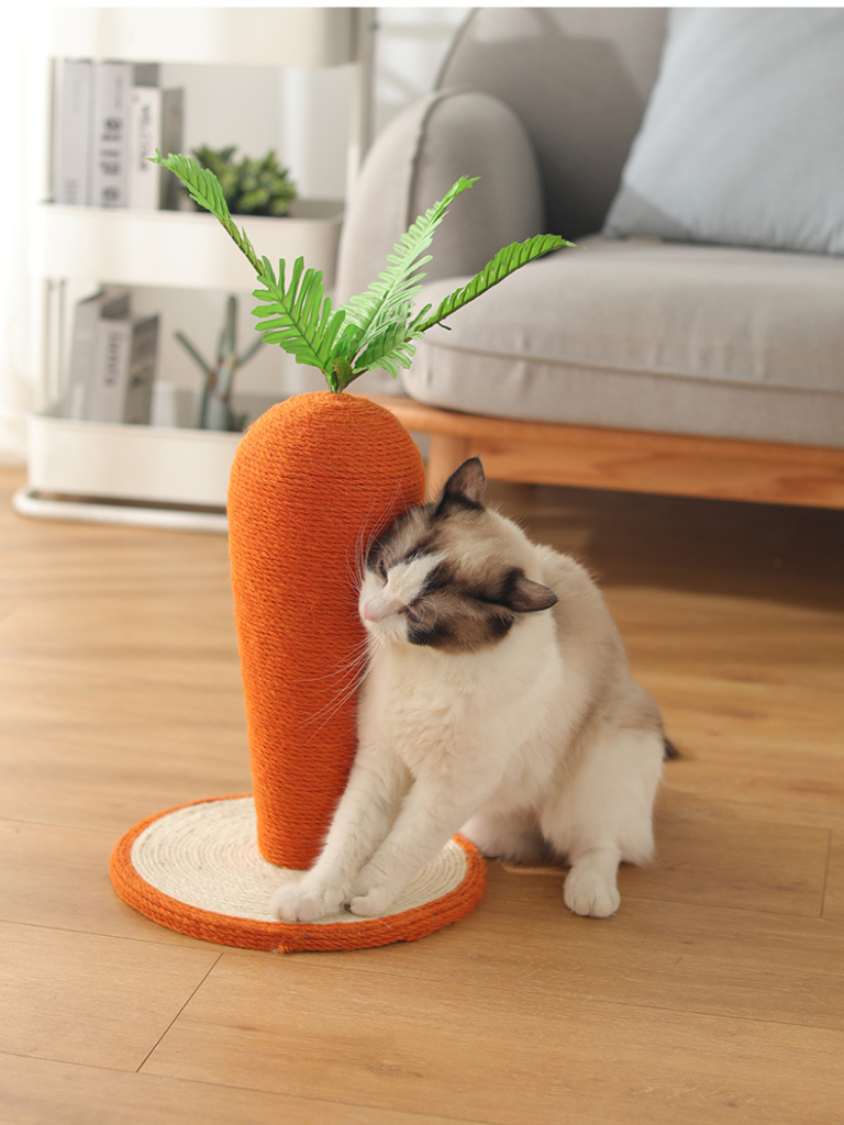 carrot nail sharpener 