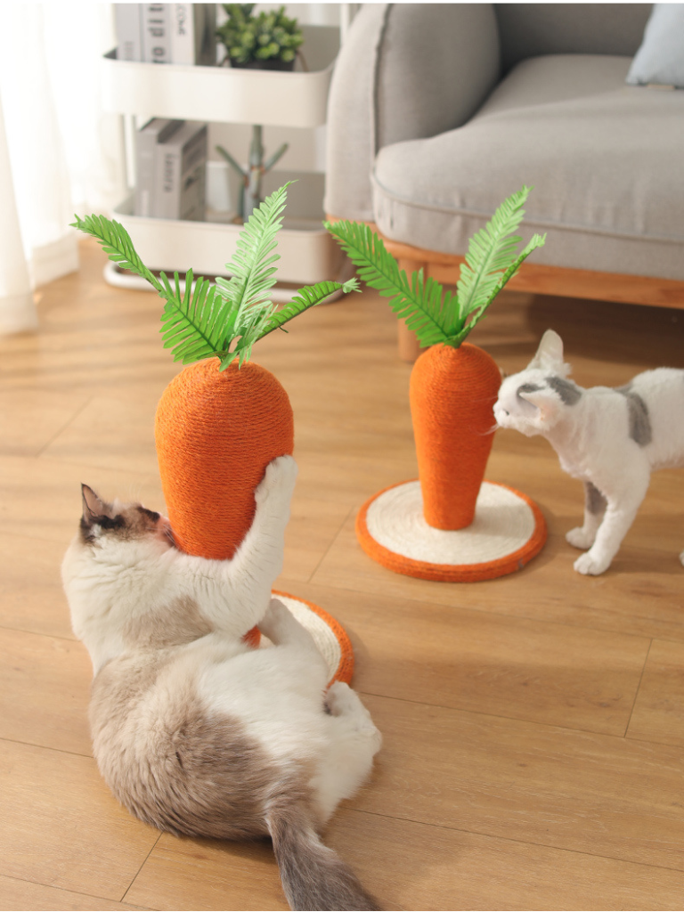 carrot nail sharpener 