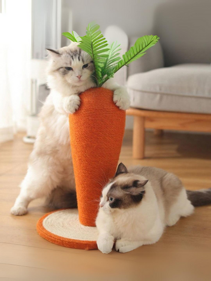 carrot nail sharpener 