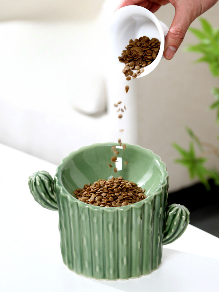 cactus shaped food bowl