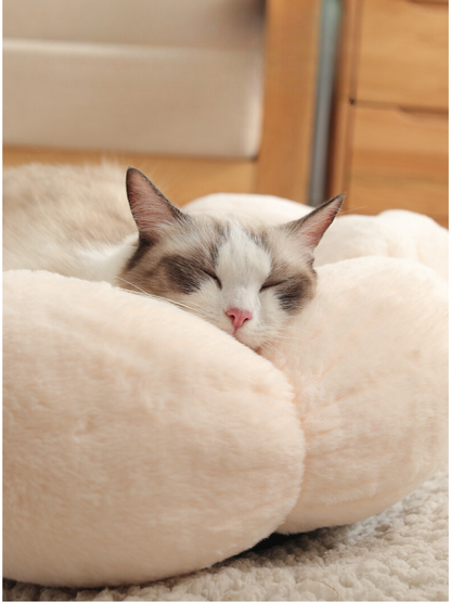 pastel flower cat bed 