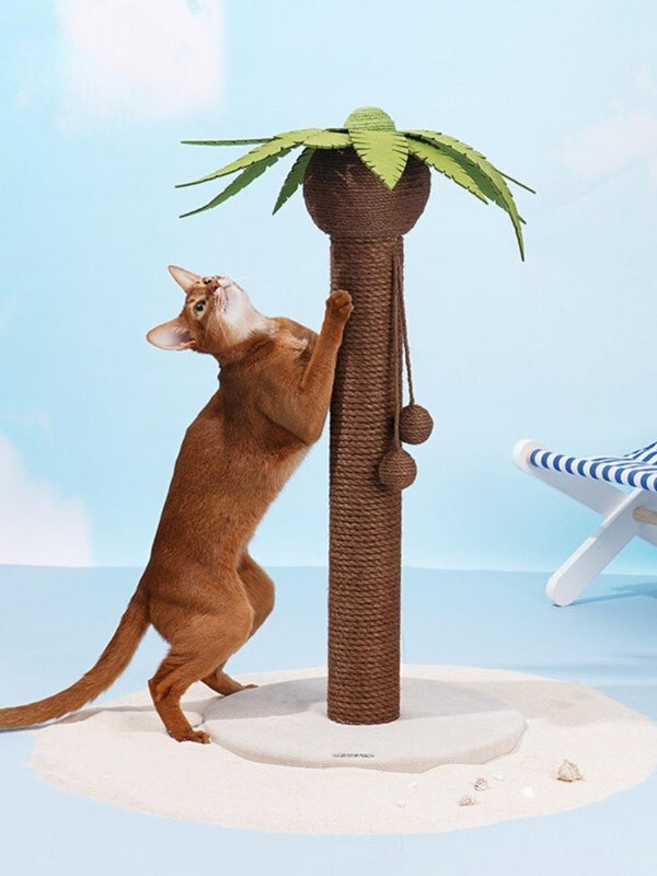 coconut tree sharpener