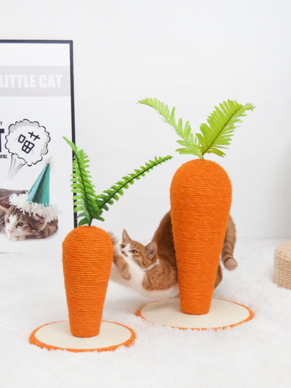 carrot nail sharpener 