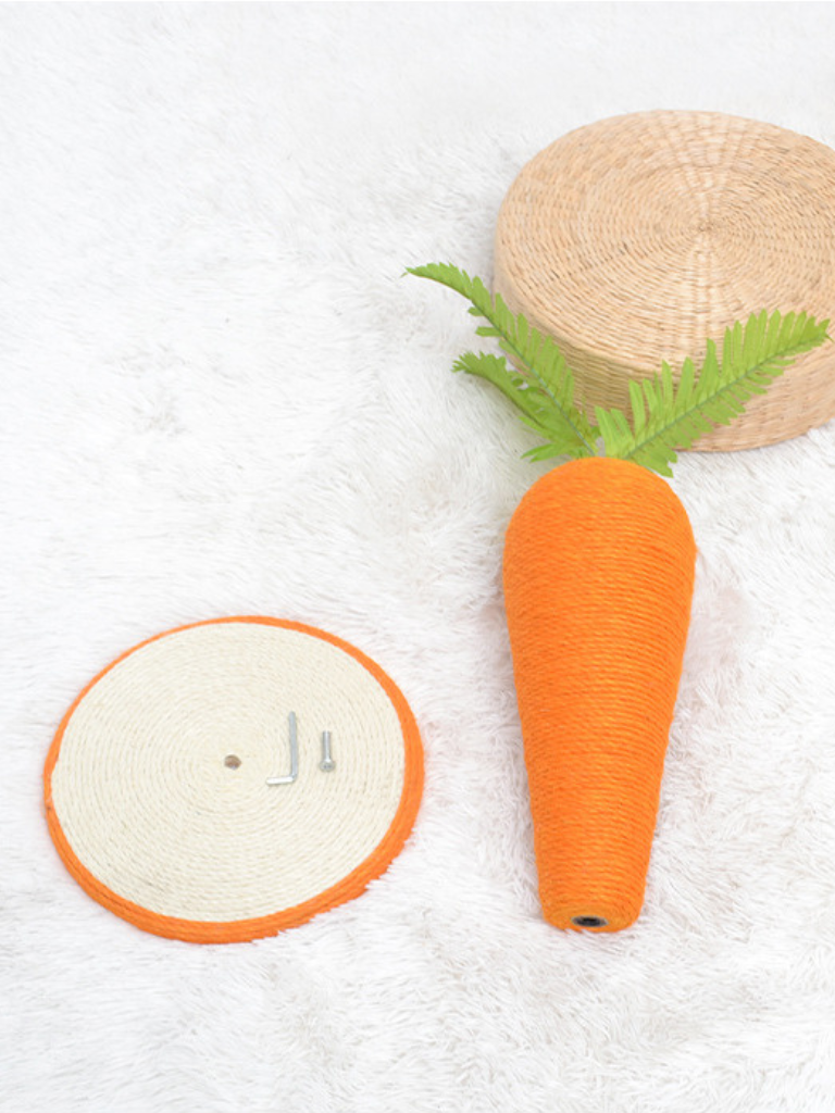 carrot nail sharpener 