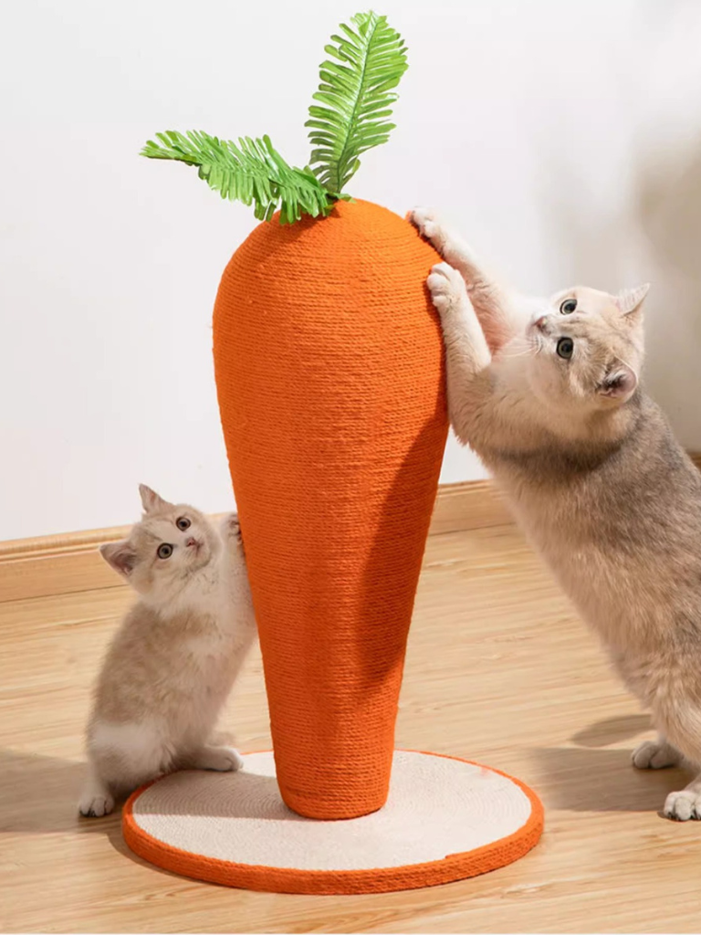 carrot nail sharpener 