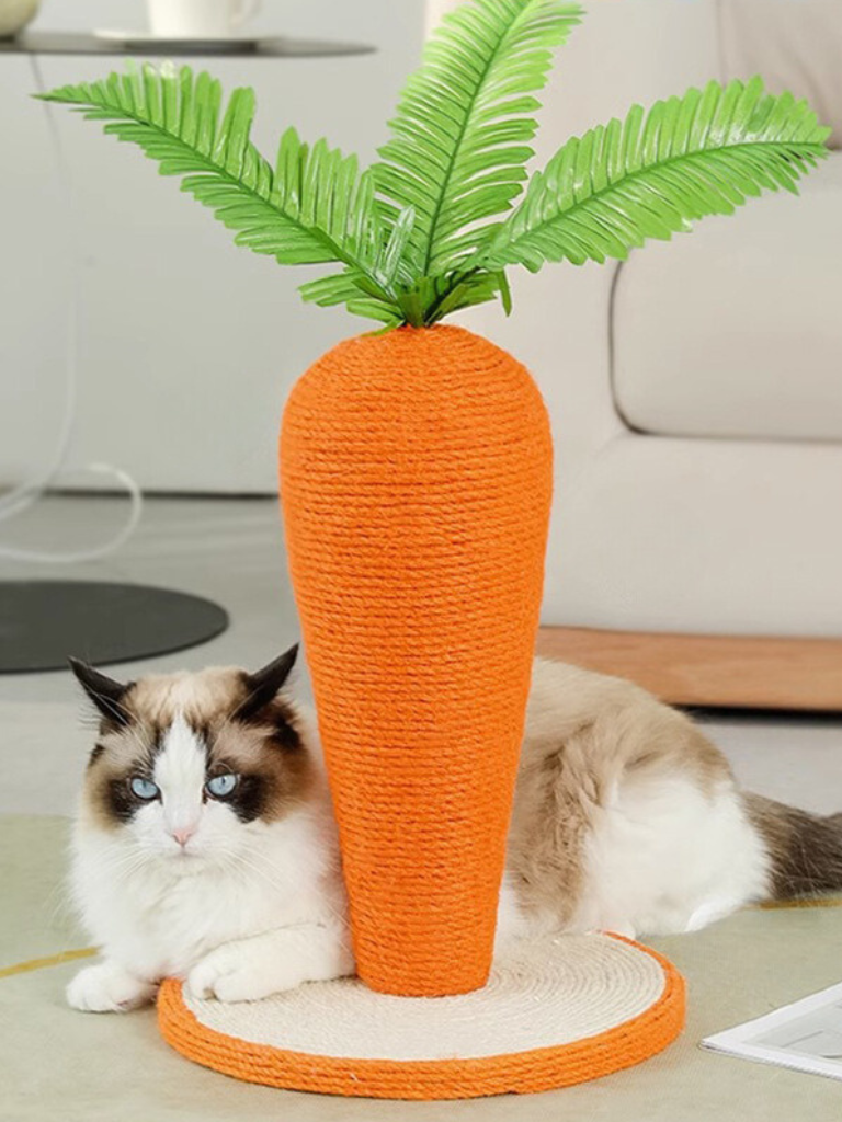 carrot nail sharpener 