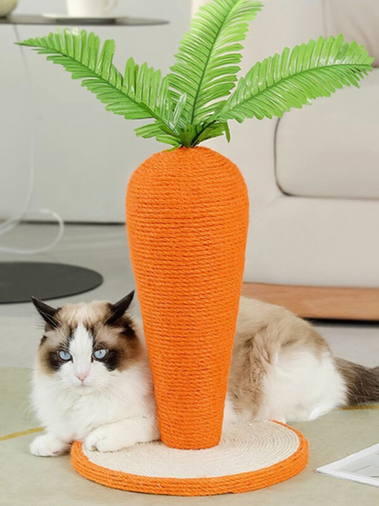 carrot nail sharpener 