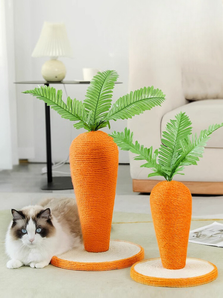 carrot nail sharpener 