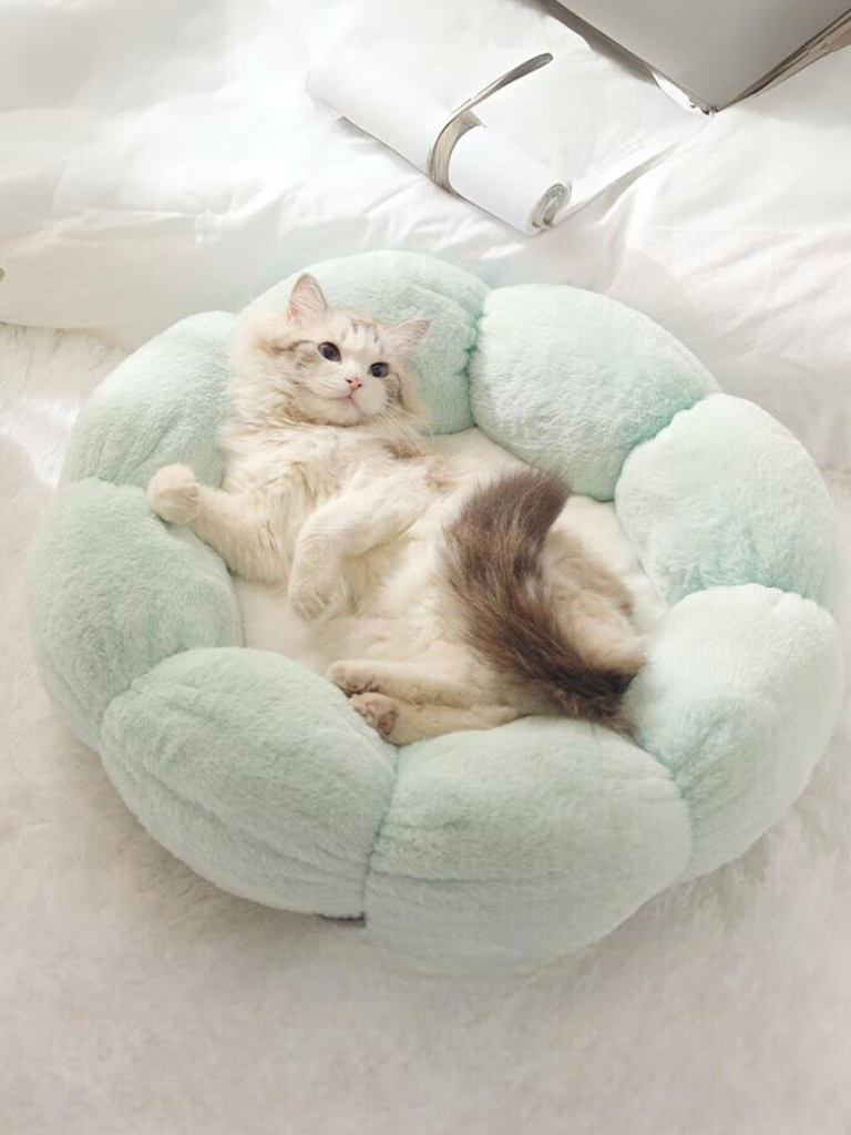 pastel flower cat bed 