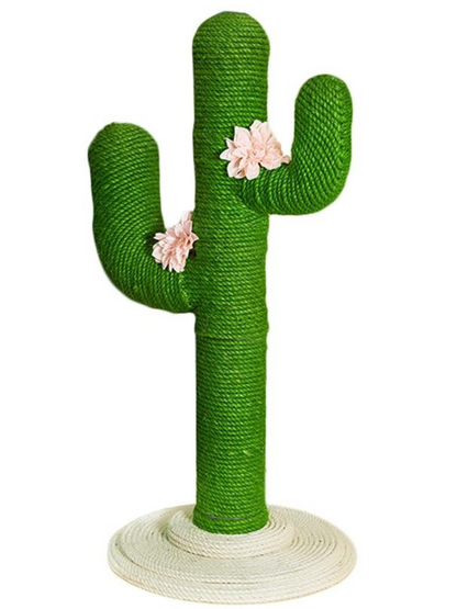 cactus nail sharpener