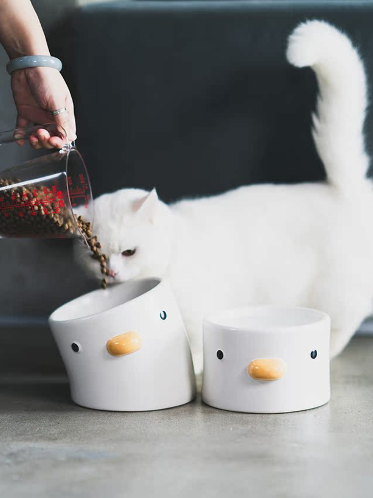 Duck-shaped food and water bowl 