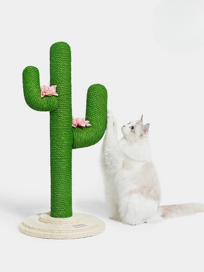 cactus nail sharpener