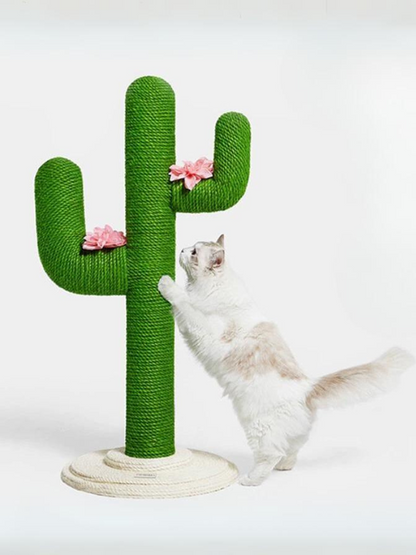 cactus nail sharpener