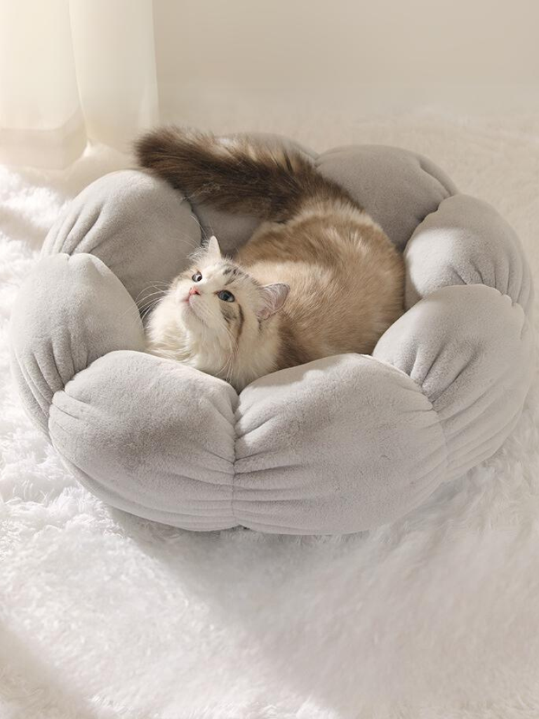 pastel flower cat bed 