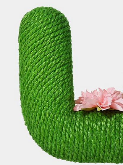 cactus nail sharpener