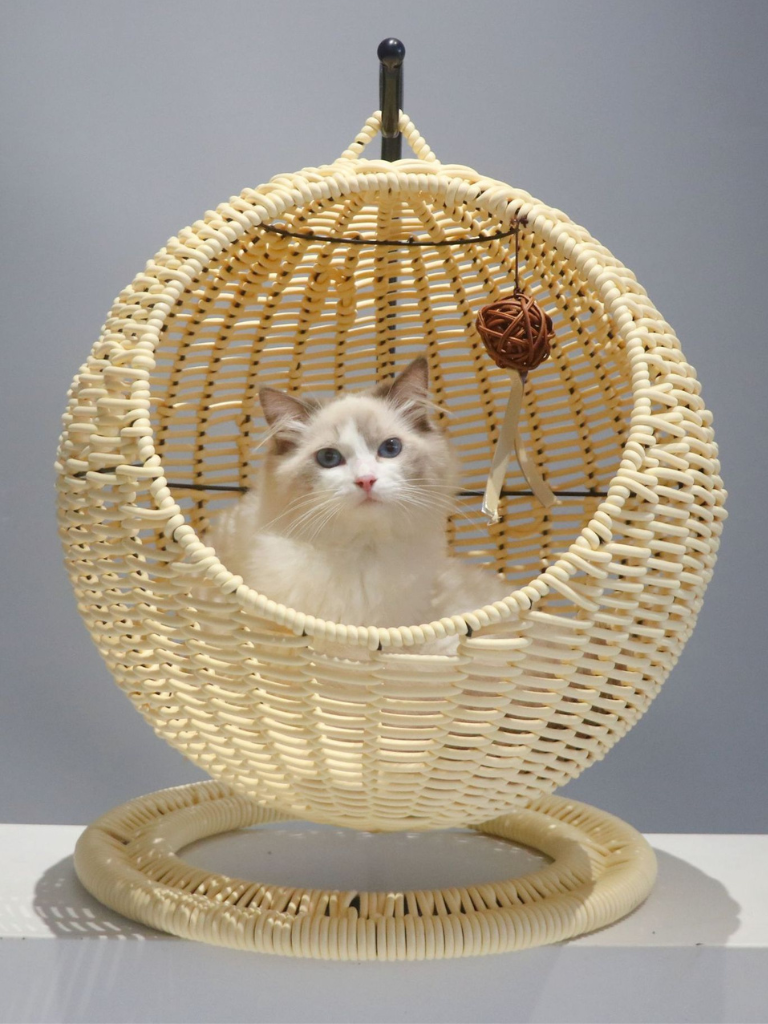 Circle type rattan style cat house