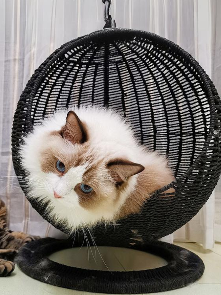 Circle type rattan style cat house