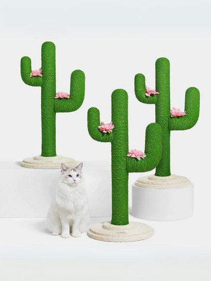 cactus nail sharpener