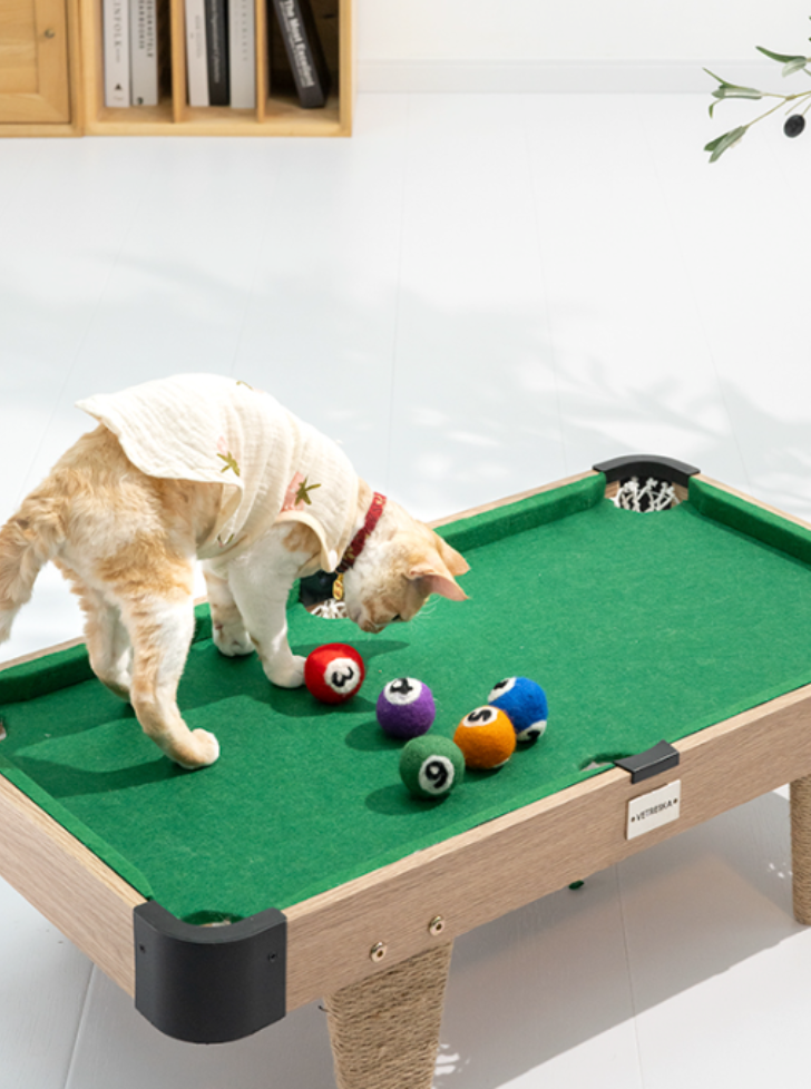 Billiard type cat toy [nail scratching board + cat teaser cue + felt ball]