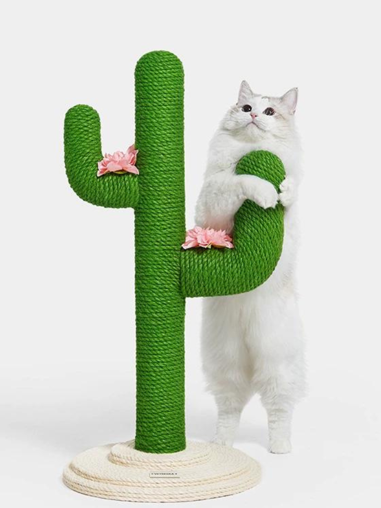 cactus nail sharpener