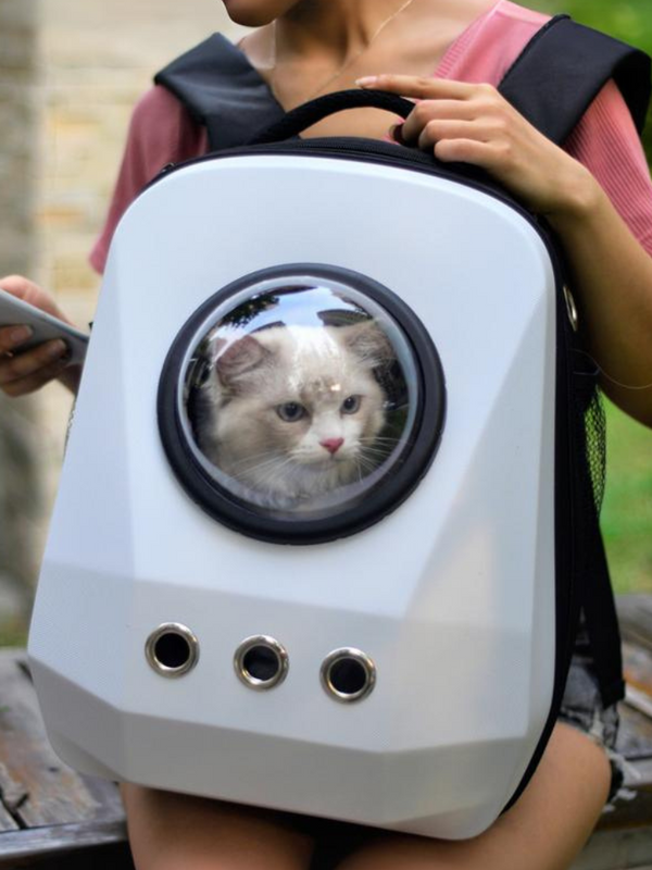 宇宙船型キャリケース