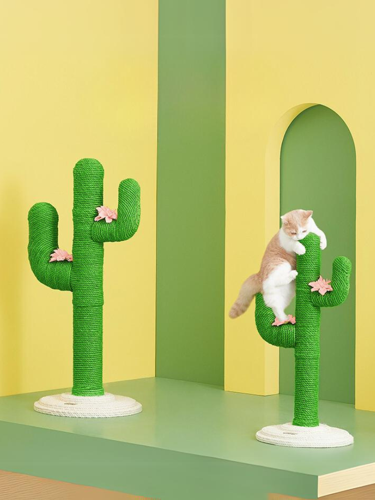 cactus nail sharpener