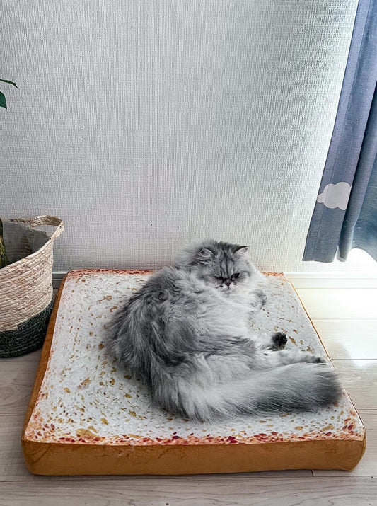 トースト型猫ベッド