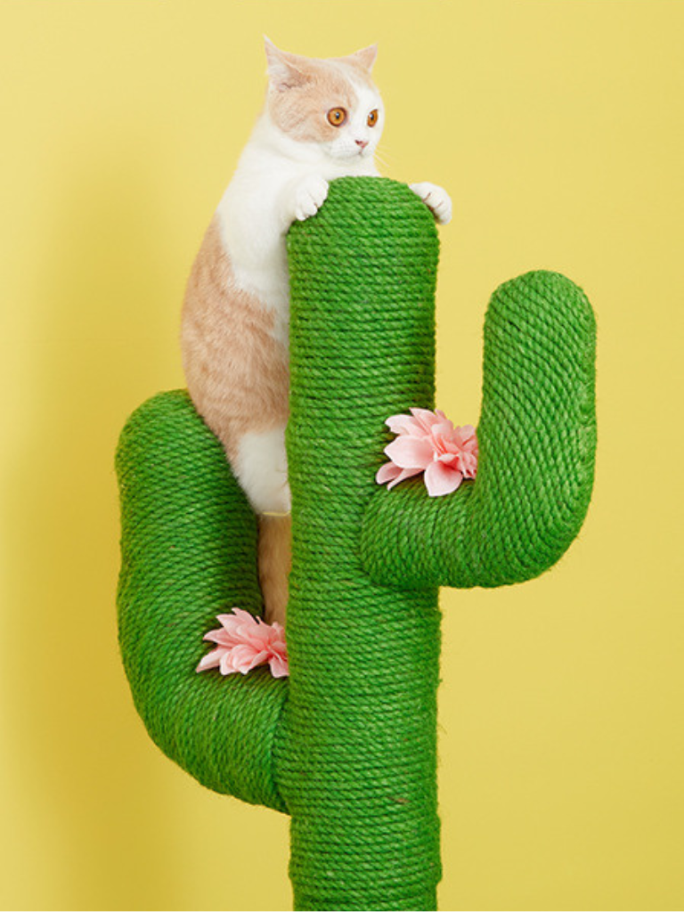 cactus nail sharpener