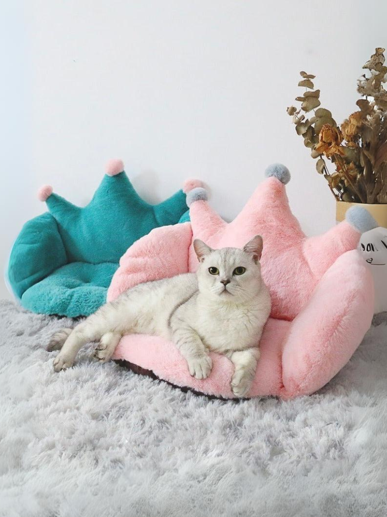 king cat bed 