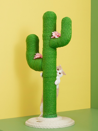 cactus nail sharpener