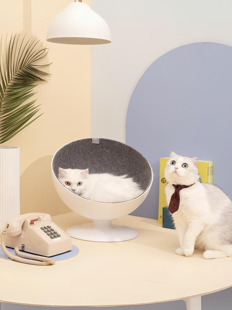 Celebrity style rotating cat bed 