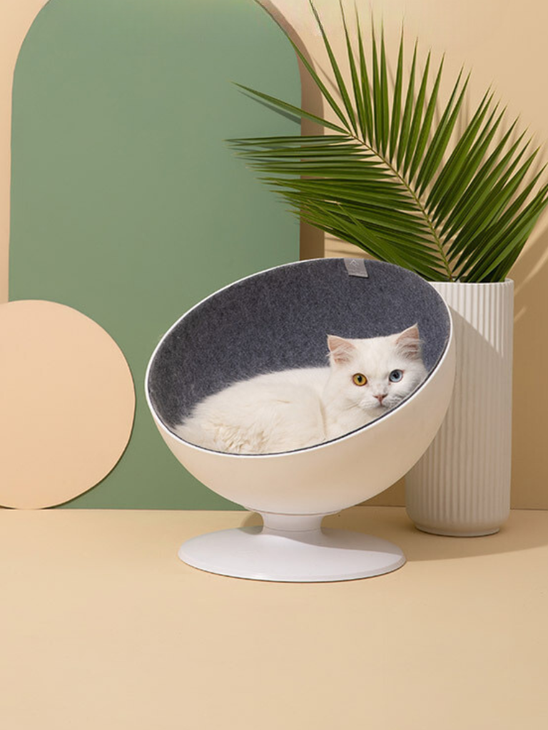 Celebrity style rotating cat bed 