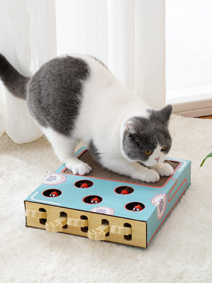 Pop-up hamster cat toy with claw 