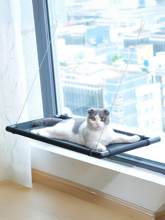 window hammock bed 