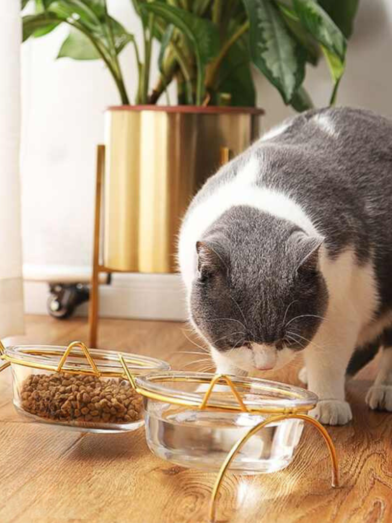 cat ear frame double food bowl 