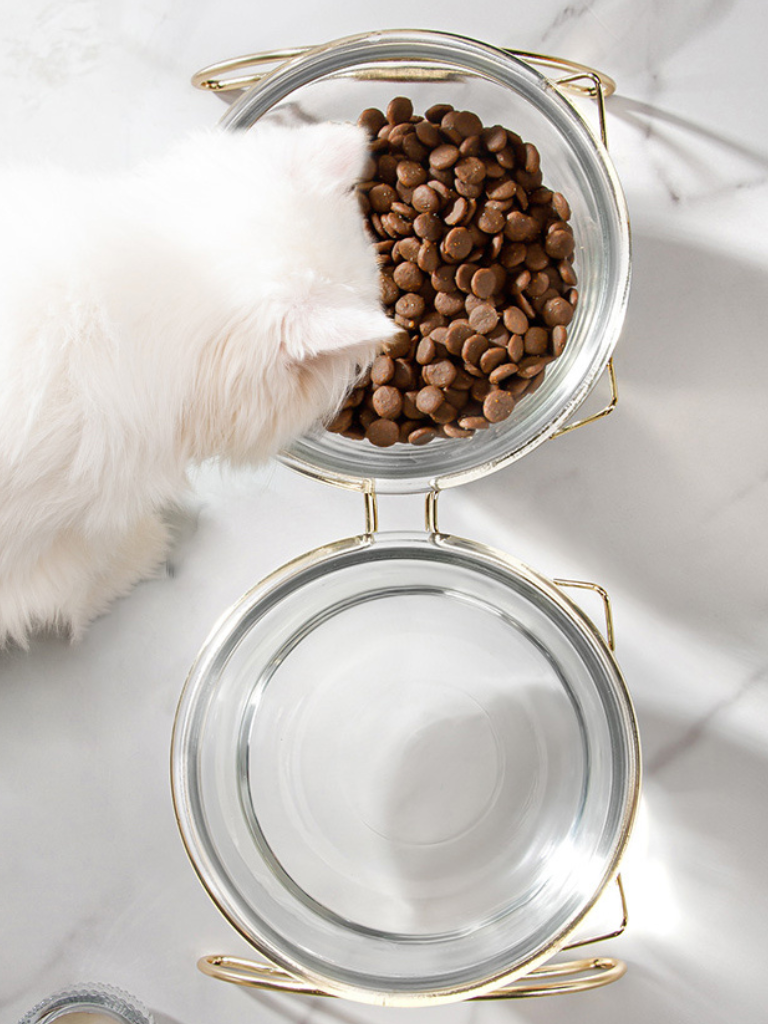 cat ear frame double food bowl 