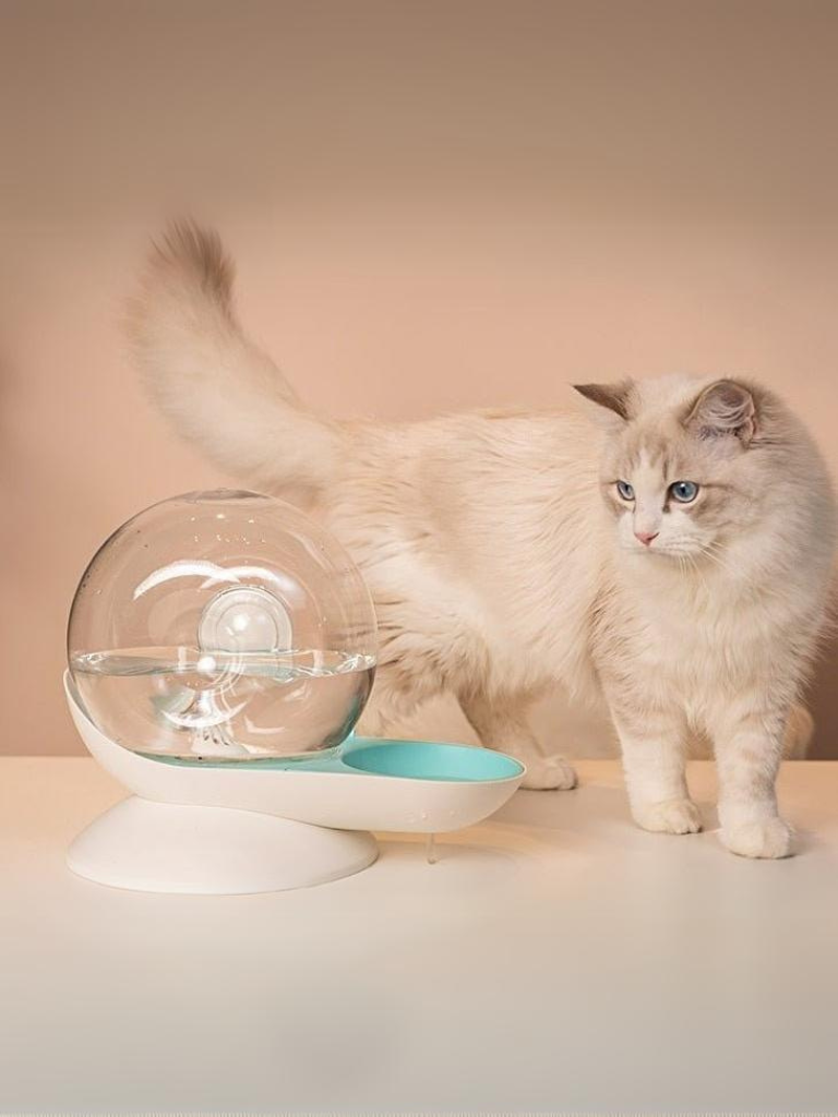 [No power supply required] Cat water dispenser