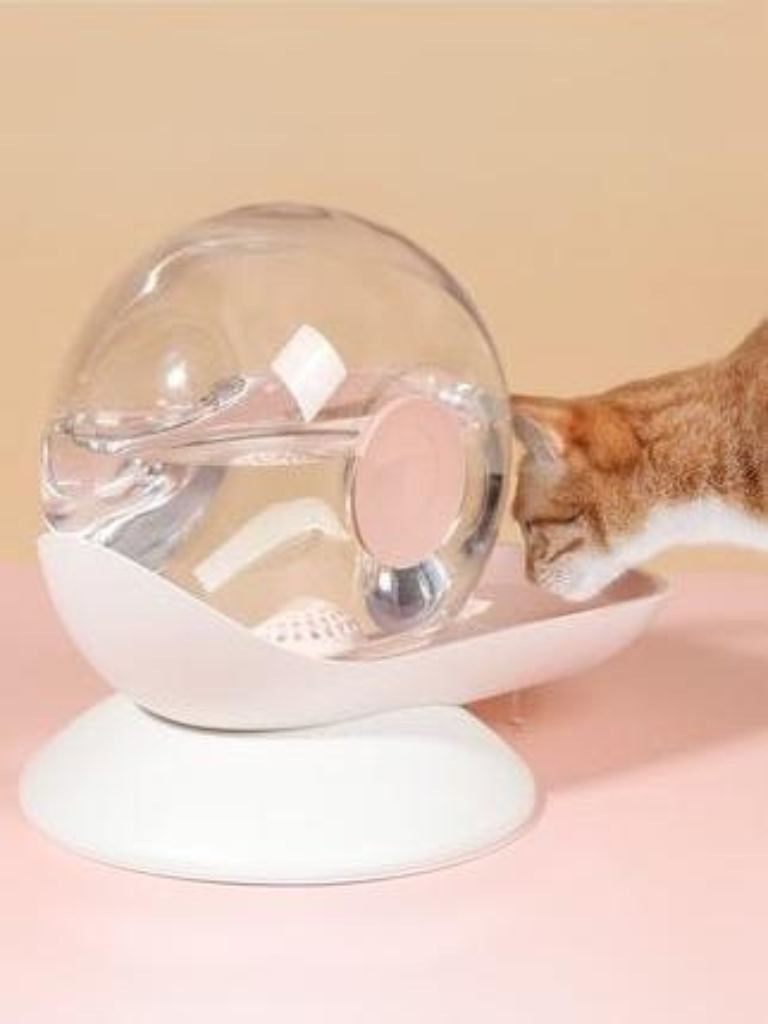 [No power supply required] Cat water dispenser