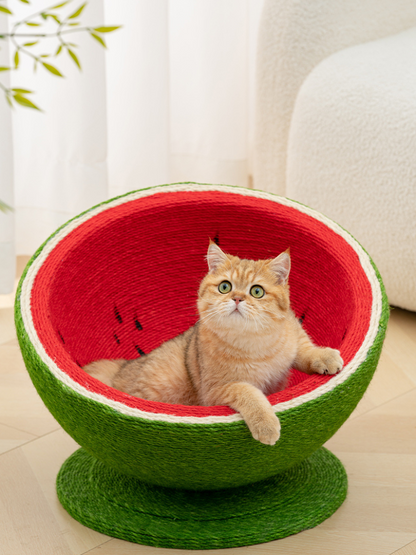 watermelon nail sharpener 