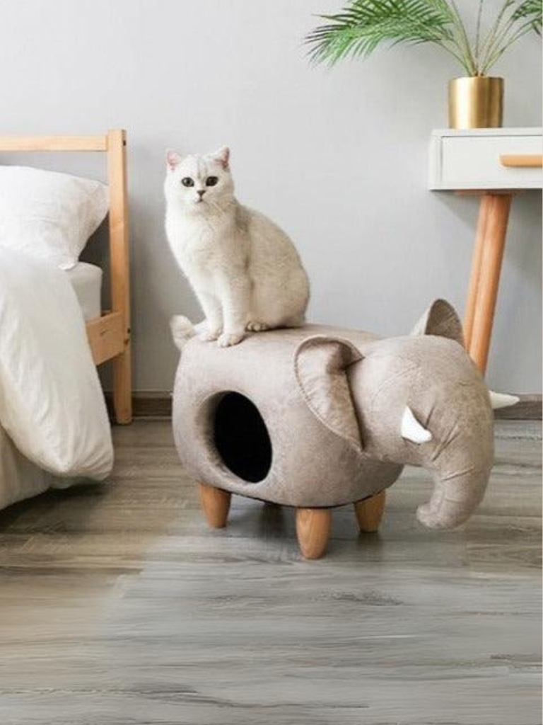 Animal type cat house 